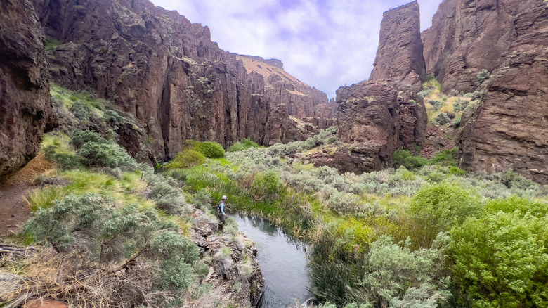 Desert canyon in southwestern Idaho
