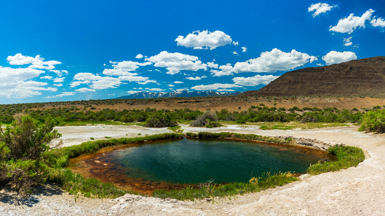 Beautiful blue green hot spring in Alvord Desert, Oregon