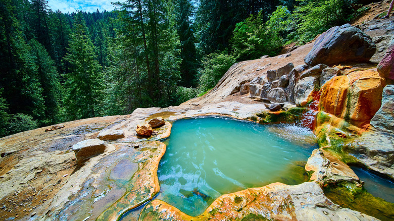 A pool in Umpqua hot springs looking out over the forested valley below