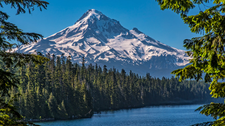 Lost Lake in the Oregon Cascades with Mt Hood in the Distance