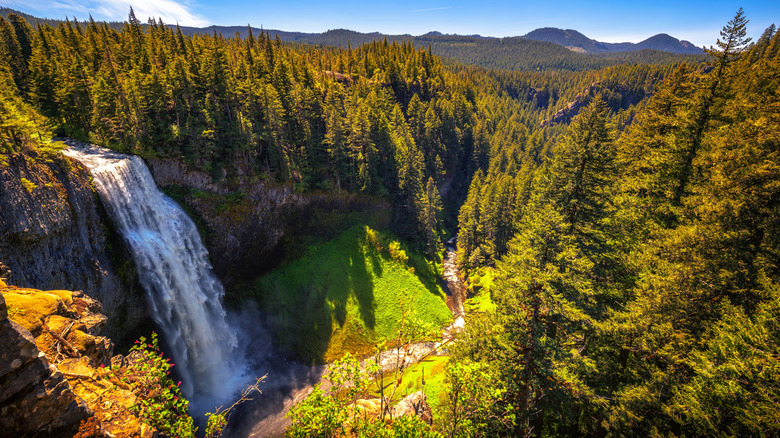 A view of Oregon's Salt Creek Falls from the observation deck