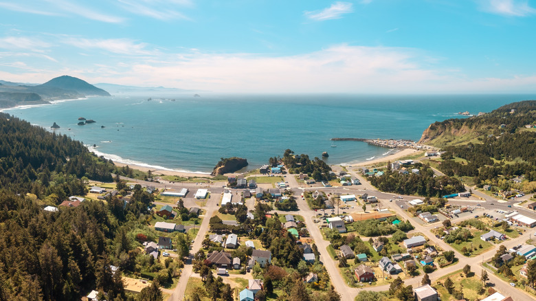 Aerial view of Port Orford, Oregon, overlooking a Pacific Ocean bay, beaches, and treed hills