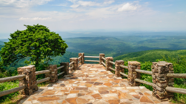 Cameron Bluff overlook 