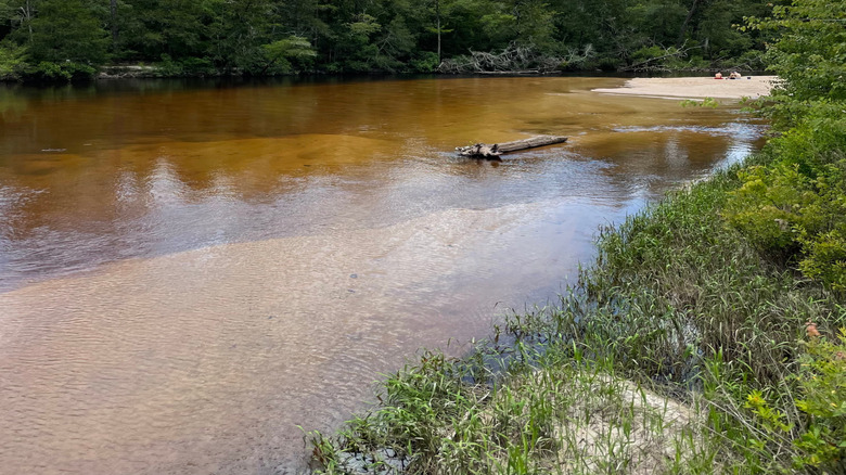 Blackwater River with trees and small beach