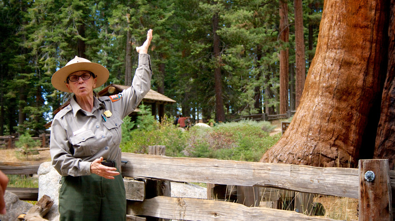 a woman park ranger talking in front of a giant tree
