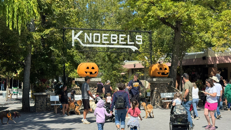Families visiting Knoebels Hallo-Fun Park
