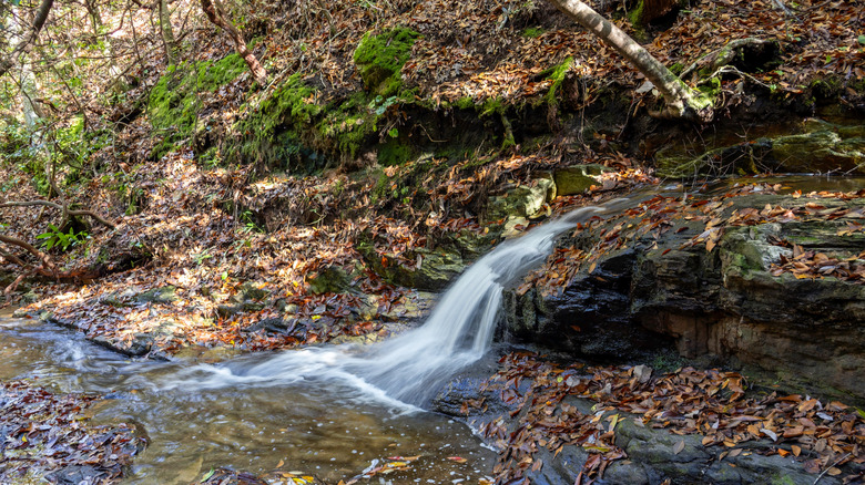 Slippery Rock Falls on the Pine Mountain Trail in F.D. Roosevelt State Park in Georgia