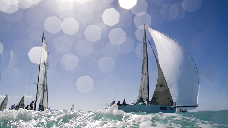 Annapolis sailing