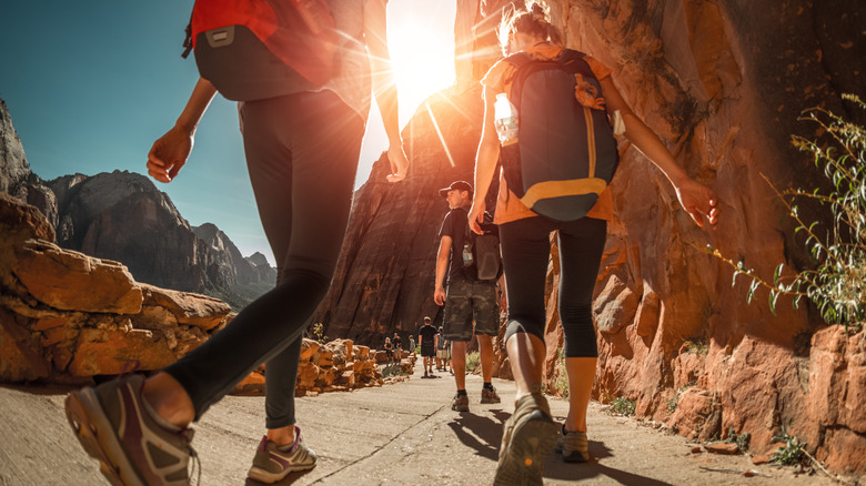 a group of people hiking in a national park