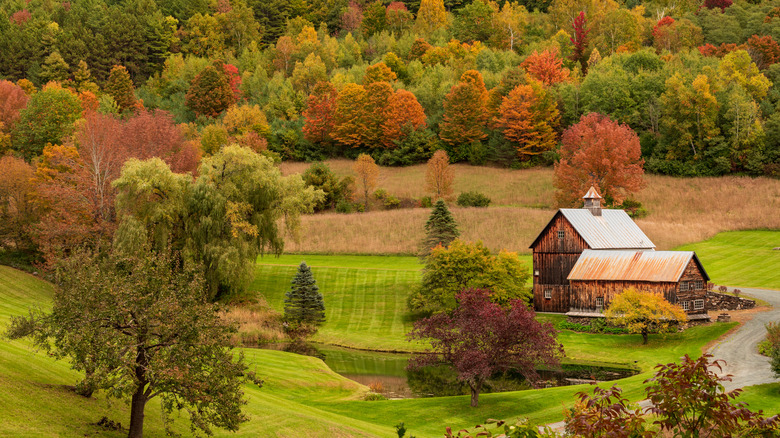 Wooden barn surrounded by trees