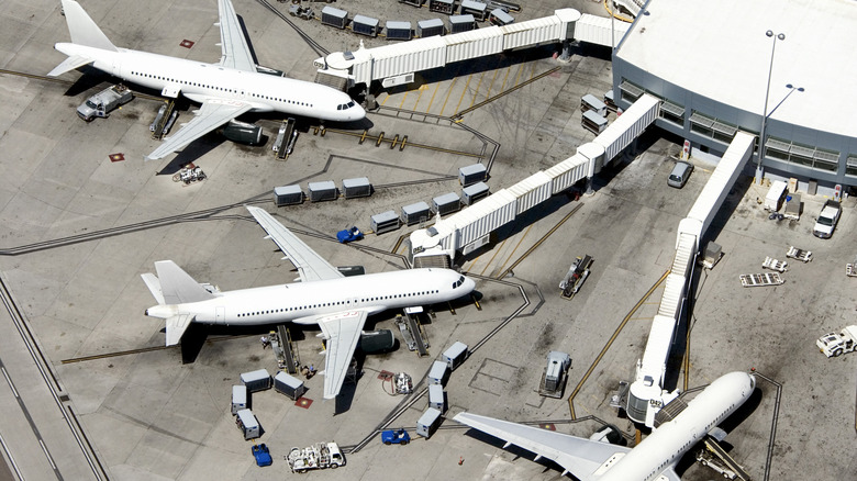 Planes gather at gate