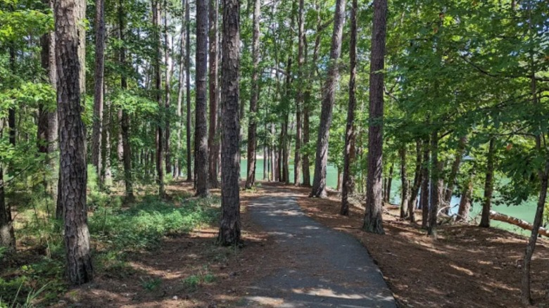 trails in Red Top Mountain State Park Georgia