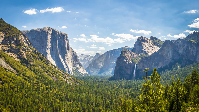 Yosemite Valley landscape