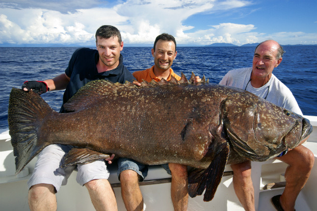 Reel Big Fish: 14 Of The World's Biggest Catches
