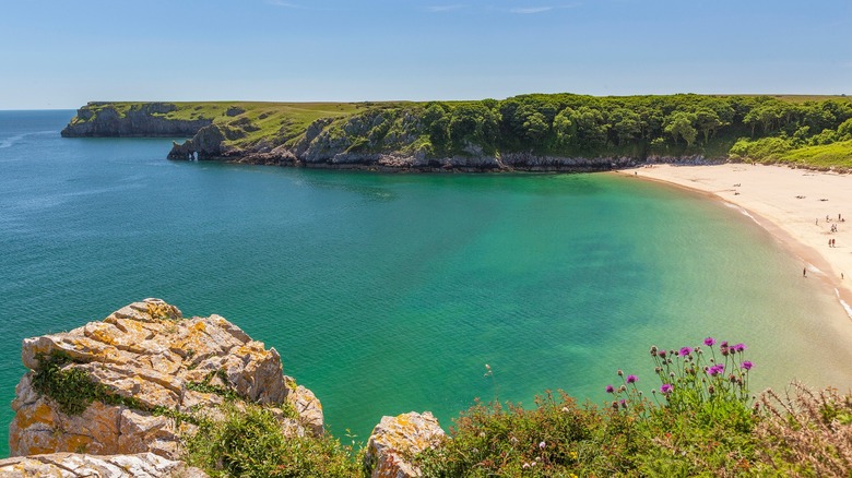 Secluded beach with turquoise waters