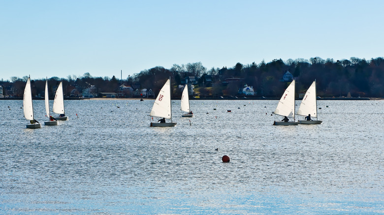 A view of sailboats sailing in Narragansett Bay from the coast of Rhode Island