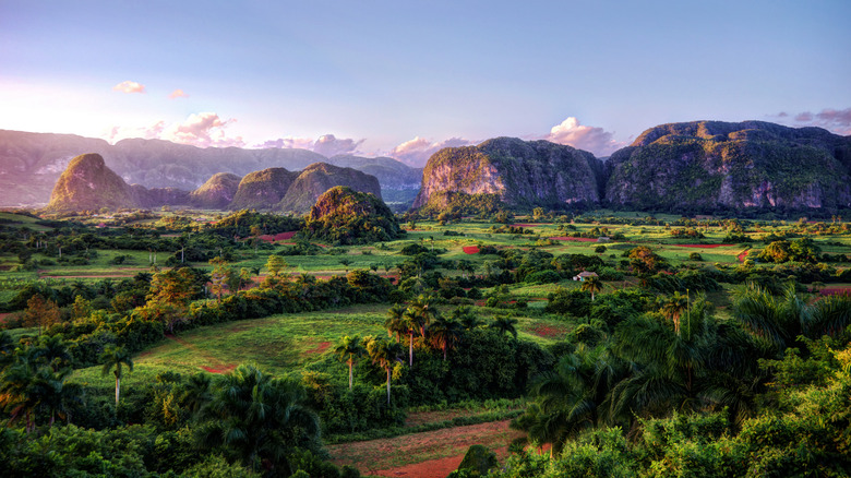 The verdant landscape of Viñales, Cuba at sunset