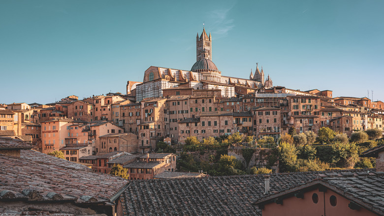 Scenic view of Siena's historic skyline at golden hour