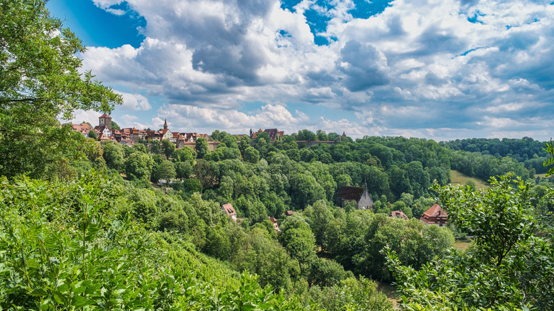 Green trees in the Tauber Valley with Rothenburg in the distance