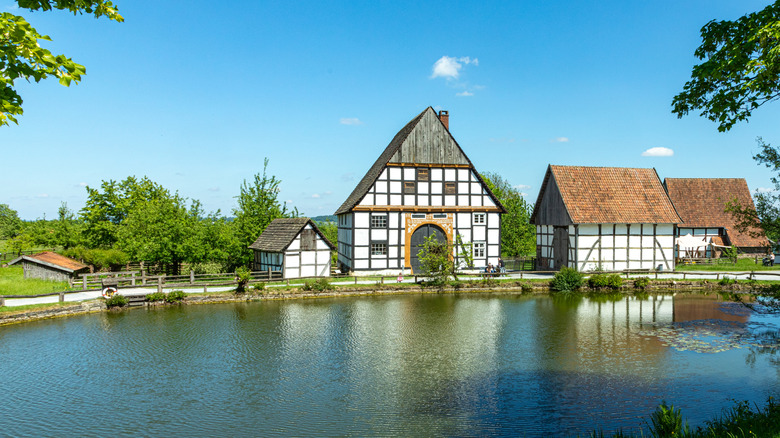 timbered buildings around a pond