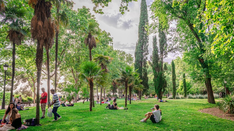 People having picnics in a park surrounded by lush greenery