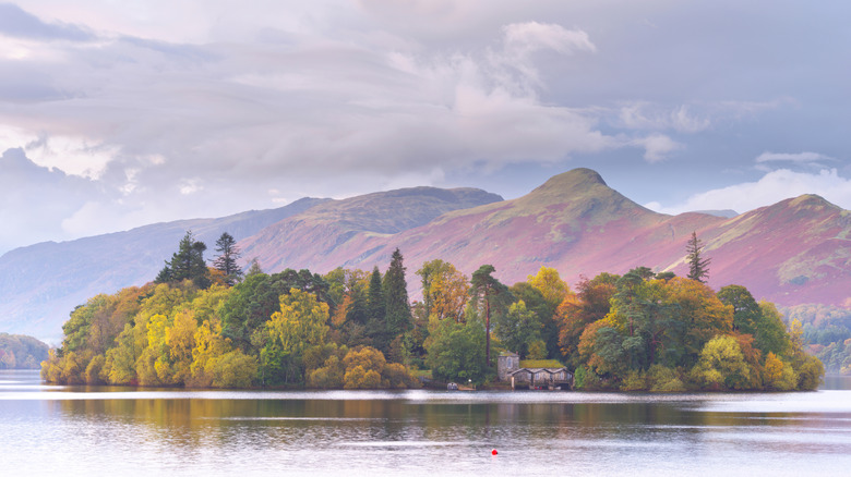 View of the summit of Cat Bells with a lake and a forested island in the foreground