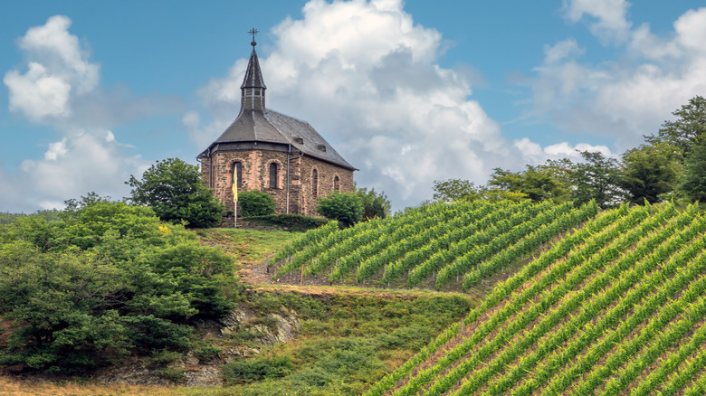 Church on top of a vineyard hill in Bacharach, Germany