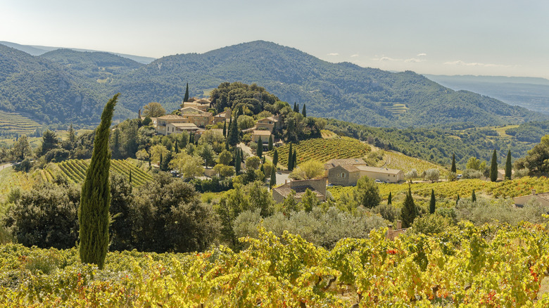 Idyllic landscape in the Provence with the small village of Suzette surrounded by vineyards