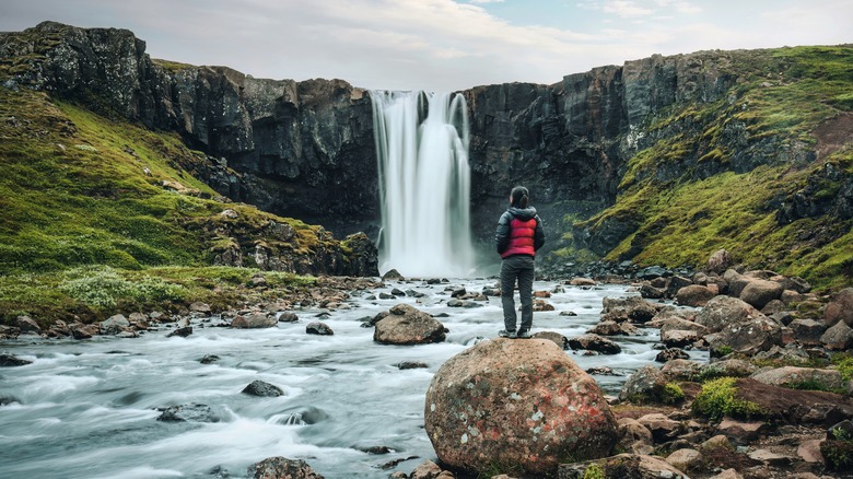 person standing near Icelandic waterfall