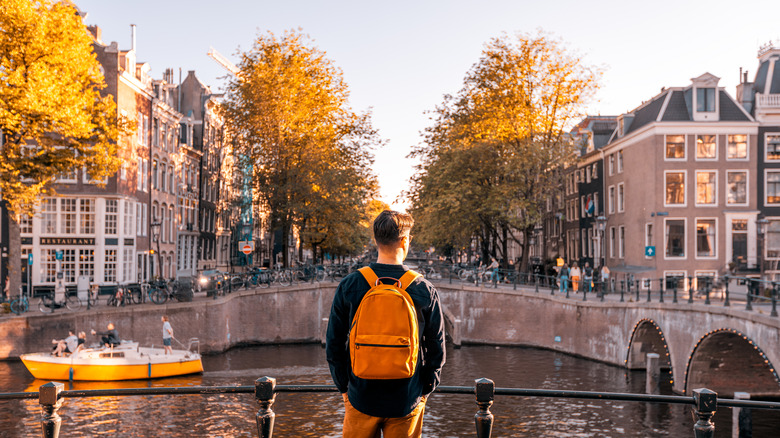 Person overlooking European bridge