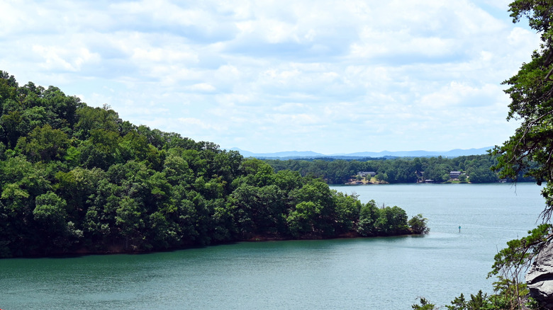Shot of the Roanoke River with buildings in background
