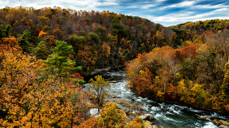 Roanoke River surrounded by fall foliage