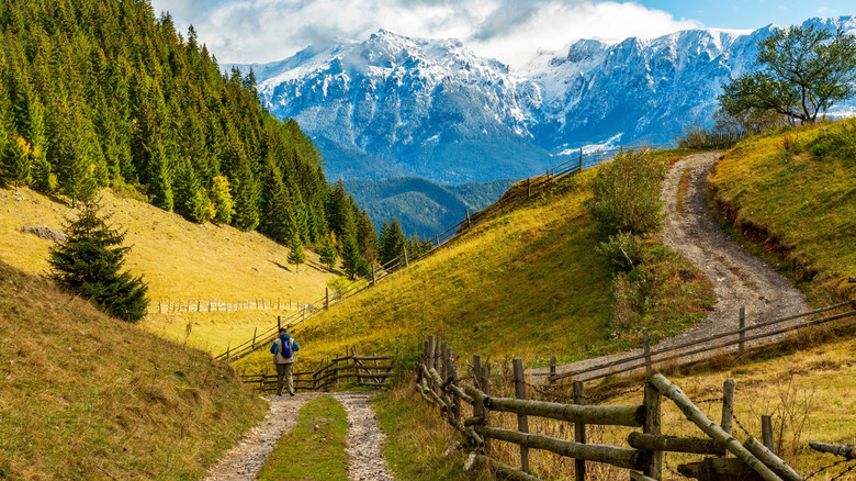 Hiking trails in the Carpathian Mountains in Romania.