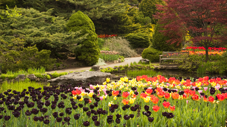 Flowers at the Royal Botanical Gardens