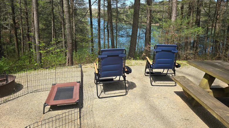 Two chairs overlooking woods and a lake at a campsite with a dog pen and picnic table.
