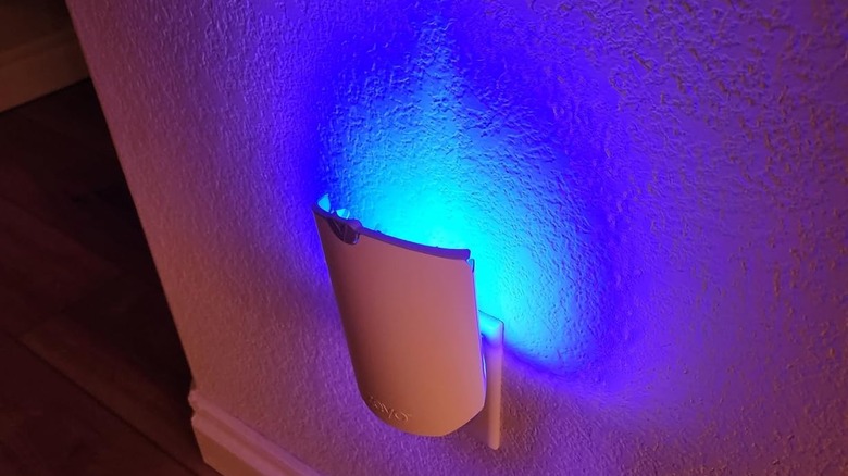 blue light from plug-in bug trap shining on wall