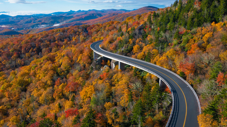 A section of the Blue Ridge Parkway twists through mountain forest