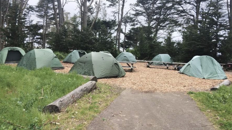 tents at Rob Hill Campground