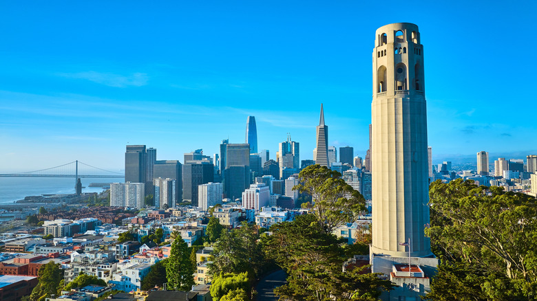 a view of Coit Tower and the San Francisco skyline