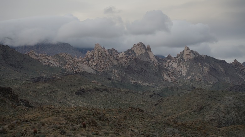 Avi Kwa Ame National Monument Nevada