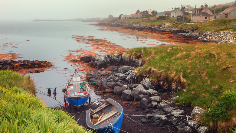 Boats are tied up in an inlet in Berneray, Scotland