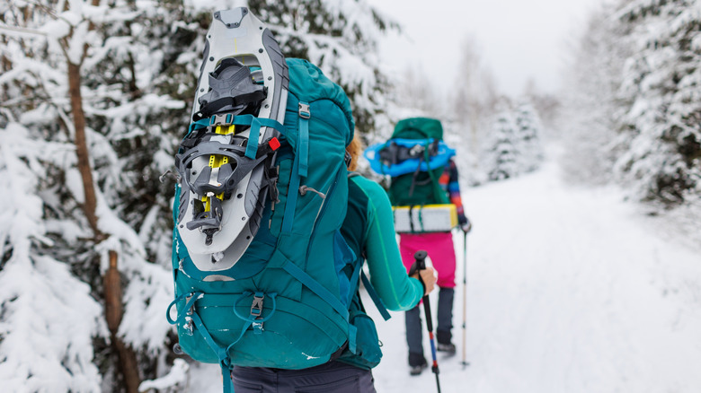 Hikers with backpacks in the snow.