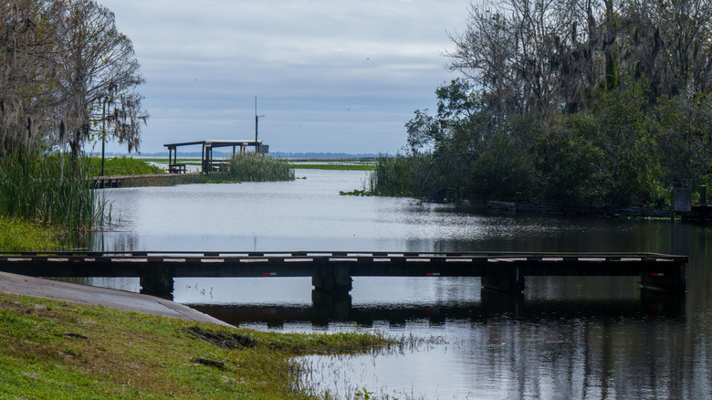 Lake Istokpoga boat ramp area in Florida