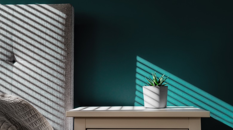 Plant next to bed