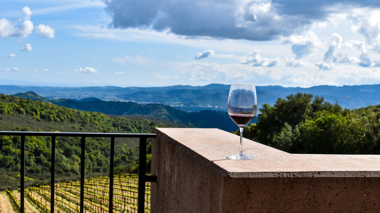 Wine on railing in front of vineyard