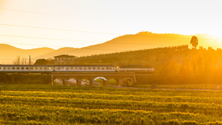Train traveling through sunny landscape