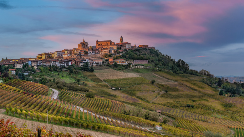 A hilltop village among vineyards