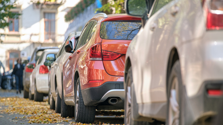 Row of cars parked along street
