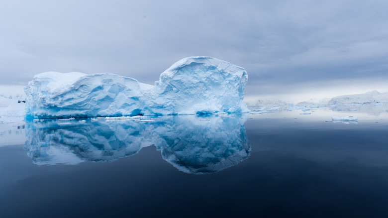 glacier in antarctica