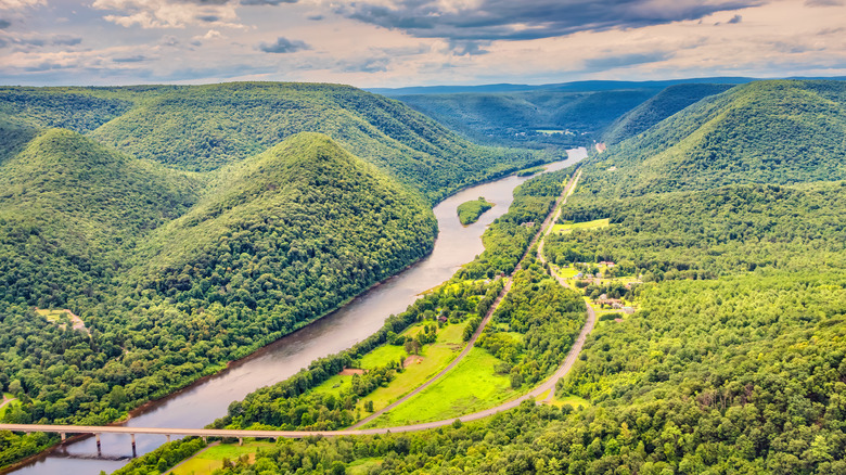 River near trees and mountains